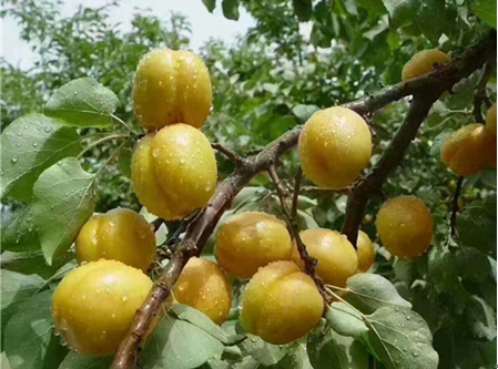 自驾游甘肃 | 中华老字号、美食购物名街一览